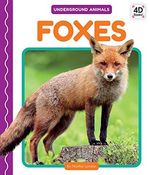 portada Foxes (Underground Animals) (en Inglés)