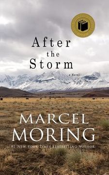 portada After the Storm (en Inglés)