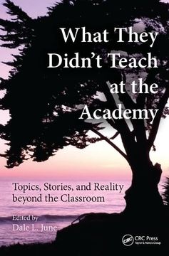 portada What They Didn't Teach at the Academy: Topics, Stories, and Reality Beyond the Classroom (en Inglés)