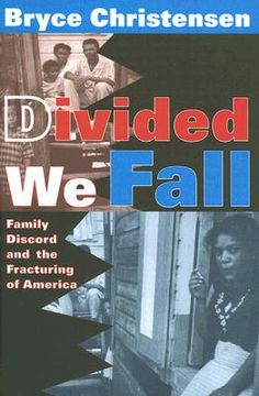 portada divided we fall: family discord and the fracturing of america (en Inglés)