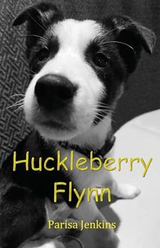 portada Huckleberry Flynn (en Inglés)