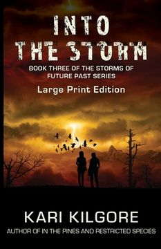 portada Into the Storm (en Inglés)