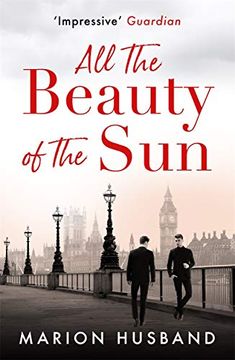 portada All the Beauty of the Sun: The Boy I Love: Book Two (in English)