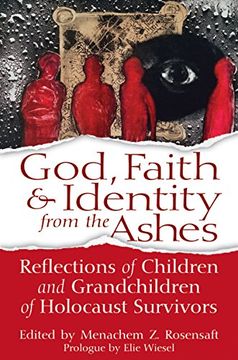 portada God, Faith & Identity from the Ashes: Reflections of Children and Grandchildren of Holocaust Survivors (in English)