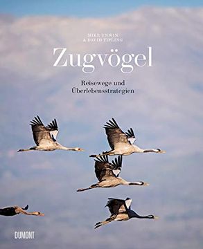 portada Zugvögel: Reisewege und Überlebensstrategien (in German)