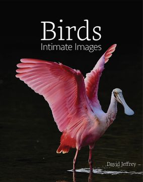 portada Birds: Intimate Images (in English)