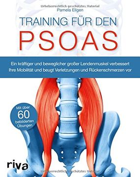 portada Training für den Psoas: Ein kräftiger und beweglicher großer Lendenmuskel verbessert Ihre Mobilität und beugt Verletzungen und Rückenschmerzen vor (in German)