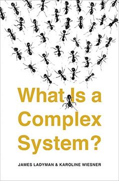 portada What is a Complex System? (en Inglés)