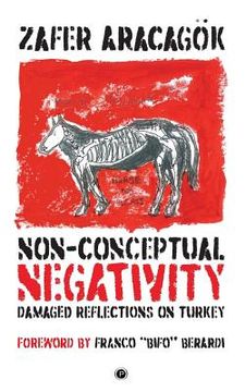 portada Non-Conceptual Negativity: Damaged Reflections on Turkey (in English)