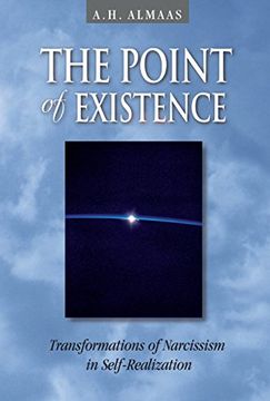 portada The Point of Existence: Transformations of Narcissism in Self-Realization (Diamond Mind) 