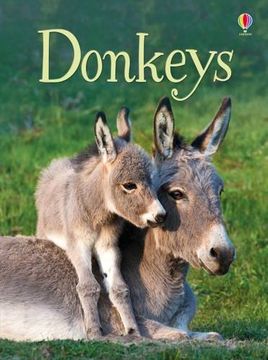 portada Donkeys (Beginners) (in English)