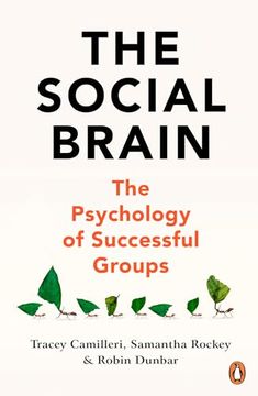 portada The Social Brain: The Psychology of Successful Groups (in English)
