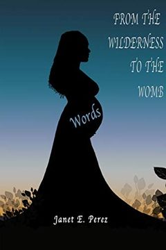 portada From the Wilderness to the Womb (en Inglés)