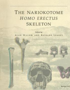 portada the nariokotome homo erectus skeleton (en Inglés)