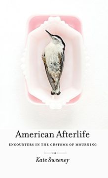 portada American Afterlife: Encounters in the Customs of Mourning