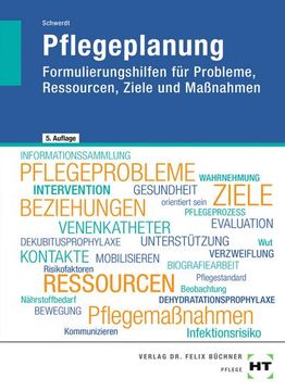 portada Ebook Inside: Buch und Ebook Pflegeplanung: Formulierungshilfen für Probleme, Ressourcen, Ziele und Maßnahmen: Formulierungshilfen für Probleme, Ressourcen, Ziele und Maßnahmen (in German)