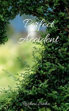 portada Perfect Accident (en Inglés)