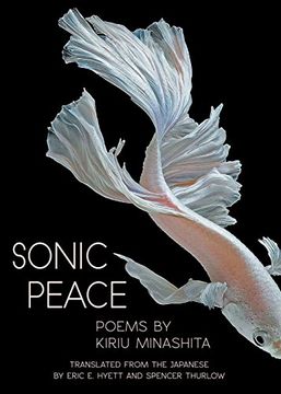 portada Sonic Peace (en Inglés)