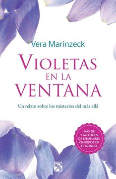 Violetas en la Ventana