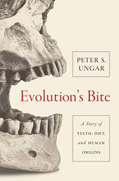 portada Evolution's Bite: A Story of Teeth, Diet, and Human Origins (en Inglés)