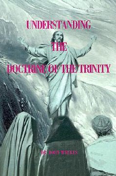 portada understanding the doctrine of the trinity (en Inglés)