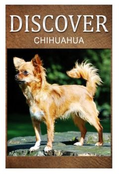 portada Chihuahua - Discover: Early reader's wildlife photography book