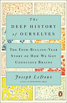 portada The Deep History of Ourselves: The Four-Billion-Year Story of how we got Conscious Brains