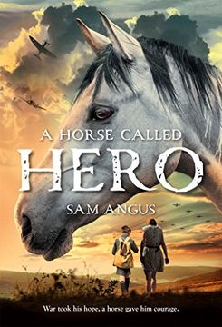 portada A Horse Called Hero