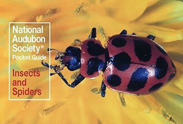portada National Audubon Society Pocket Guide: Insects and Spiders (National Audubon Society Pocket Guides) (in English)