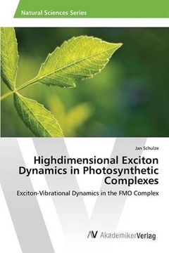 portada Highdimensional Exciton Dynamics in Photosynthetic Complexes