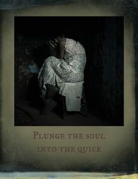 portada Plunge the Soul into the Quick (en Inglés)