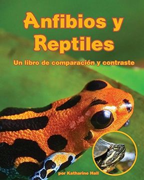portada Anfibios Y Reptiles: Un Libro de Comparación Y Contraste (Amphibians and Reptiles: A Compare and Contrast Book)