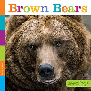 portada Seedlings: Brown Bears