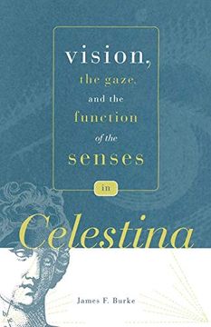 portada Vision, the Gaze, and the Function of the Senses in “Celestina” (Studies in Romance Literatures) (en Inglés)