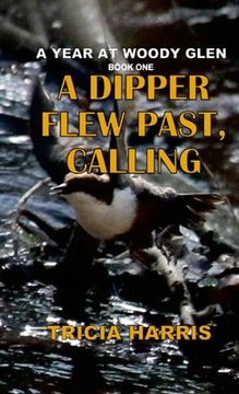 portada A Dipper Flew Past, Calling (en Inglés)