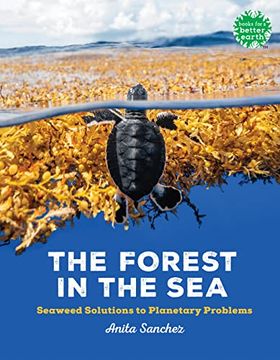 portada The Forest in the Sea: Seaweed Solutions to Planetary Problems (Books for a Better Earth) (en Inglés)