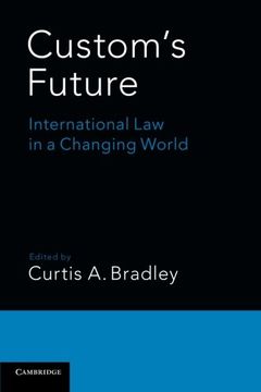 portada Custom's Future: International Law in a Changing World