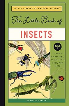 portada The Little Book of Insects: A Guide to Beetles, Flies, Ants, Bees, and More: 2 (Little Library of Natural History) (in English)