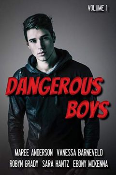 portada Dangerous Boys: Down Under ya Authors Present (en Inglés)