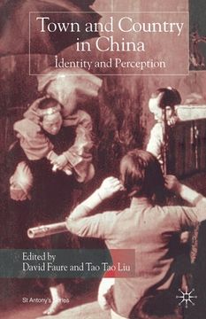 portada Town and Country in China: Identity and Perception (en Inglés)
