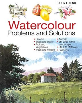 portada Watercolour Problems and Solutions (en Inglés)
