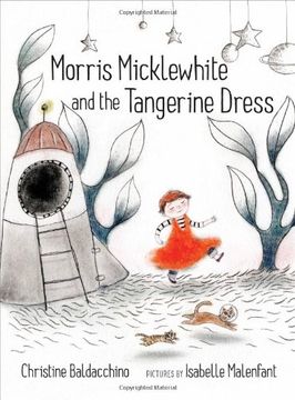 portada Morris Micklewhite and the Tangerine Dress (in English)