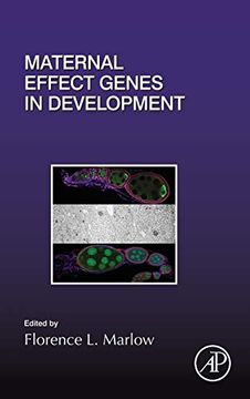 portada Maternal Effect Genes in Development: Volume 140 (Current Topics in Developmental Biology, Volume 140) (en Inglés)