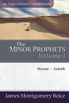 portada The Minor Prophets: Hosea-Jonah (Expositional Commentary) (Volume 1) (in English)