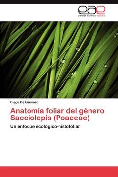 portada anatom a foliar del g nero sacciolepis (poaceae) (en Inglés)