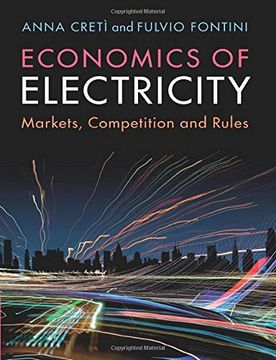 portada Economics of Electricity: Markets, Competition and Rules (en Inglés)