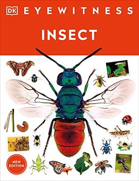 portada Eyewitness Insect (dk Eyewitness) (en Inglés)