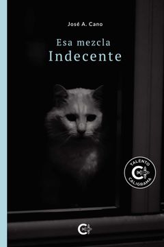 portada Esa Mezcla Indecente (in Spanish)