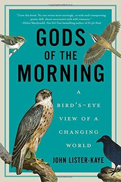 portada Gods of the Morning: A Bird's-Eye View of a Changing World (en Inglés)