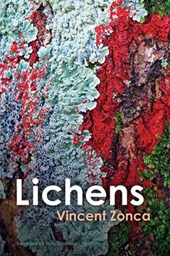 portada Lichens: Toward a Minimal Resistance (in English)